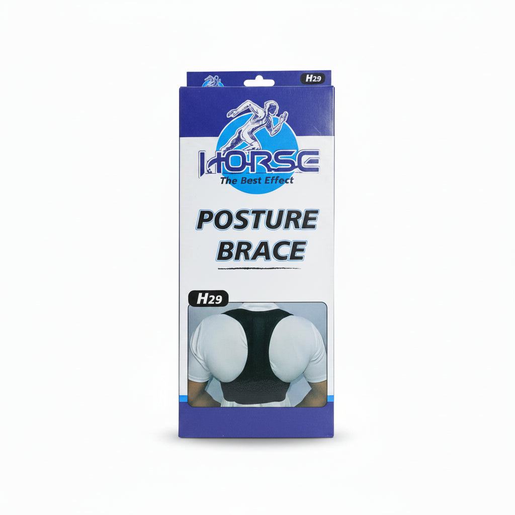 posture-brace-horse